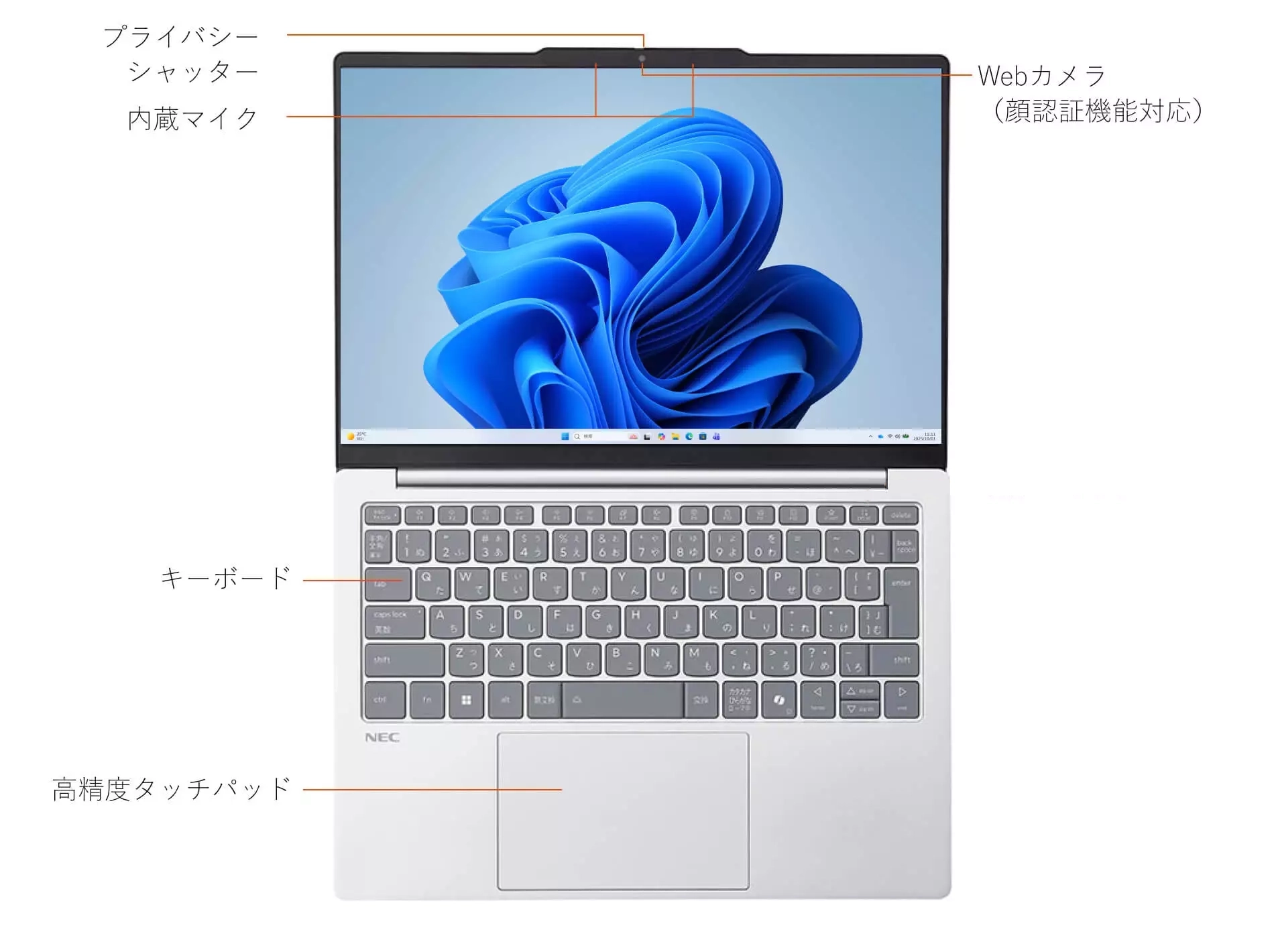 正面