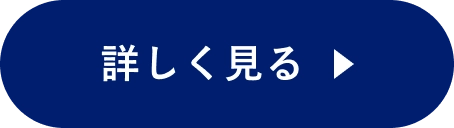 詳しく見る