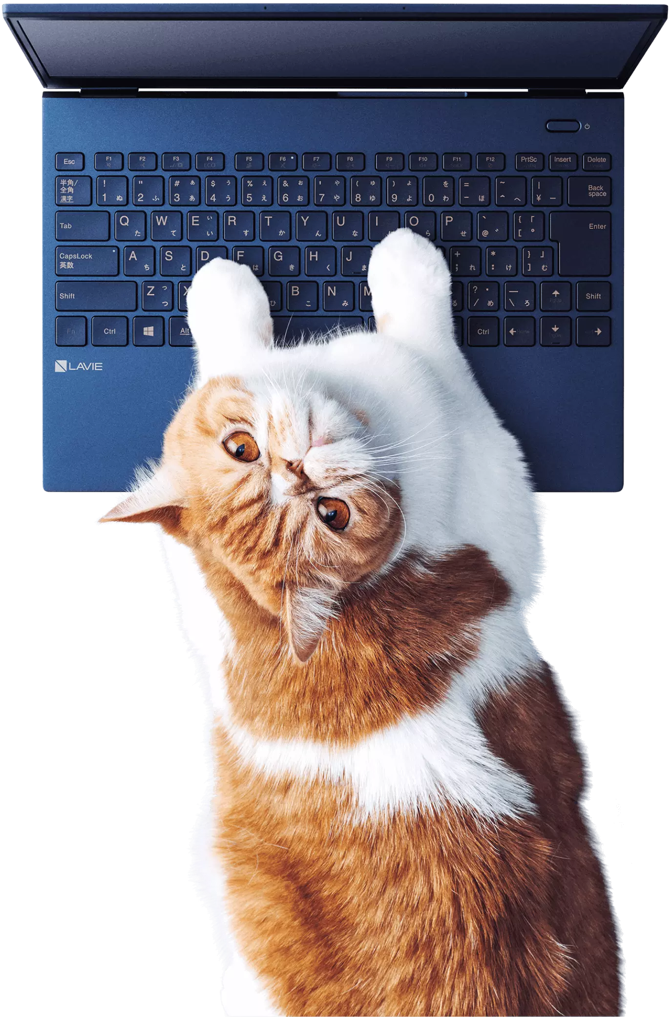 カメラ Nec Nec Lavie Pc Da770mabの通販 By 太郎 エヌイーシーならラクマ カテゴリ